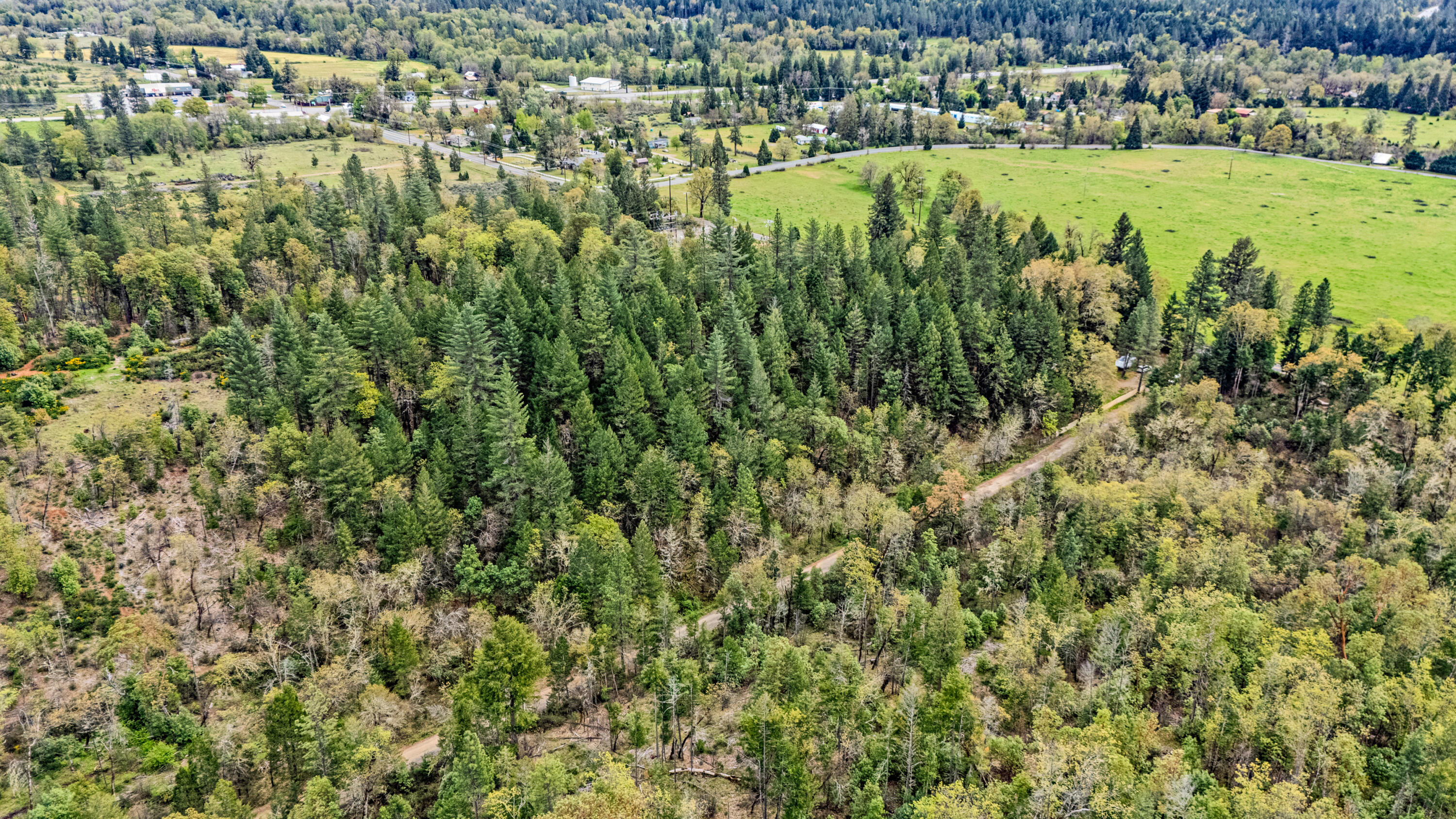 323 Valley Heights Road Selma, OR 97538 - Photo 4 of 11