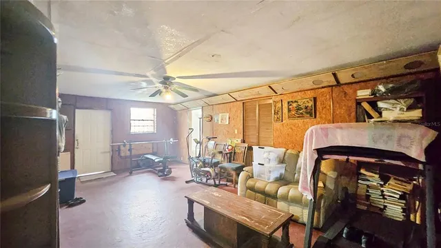 a view of a backyard with plants and large trees