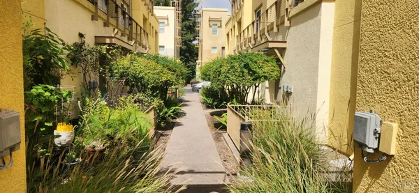 a view of a garden