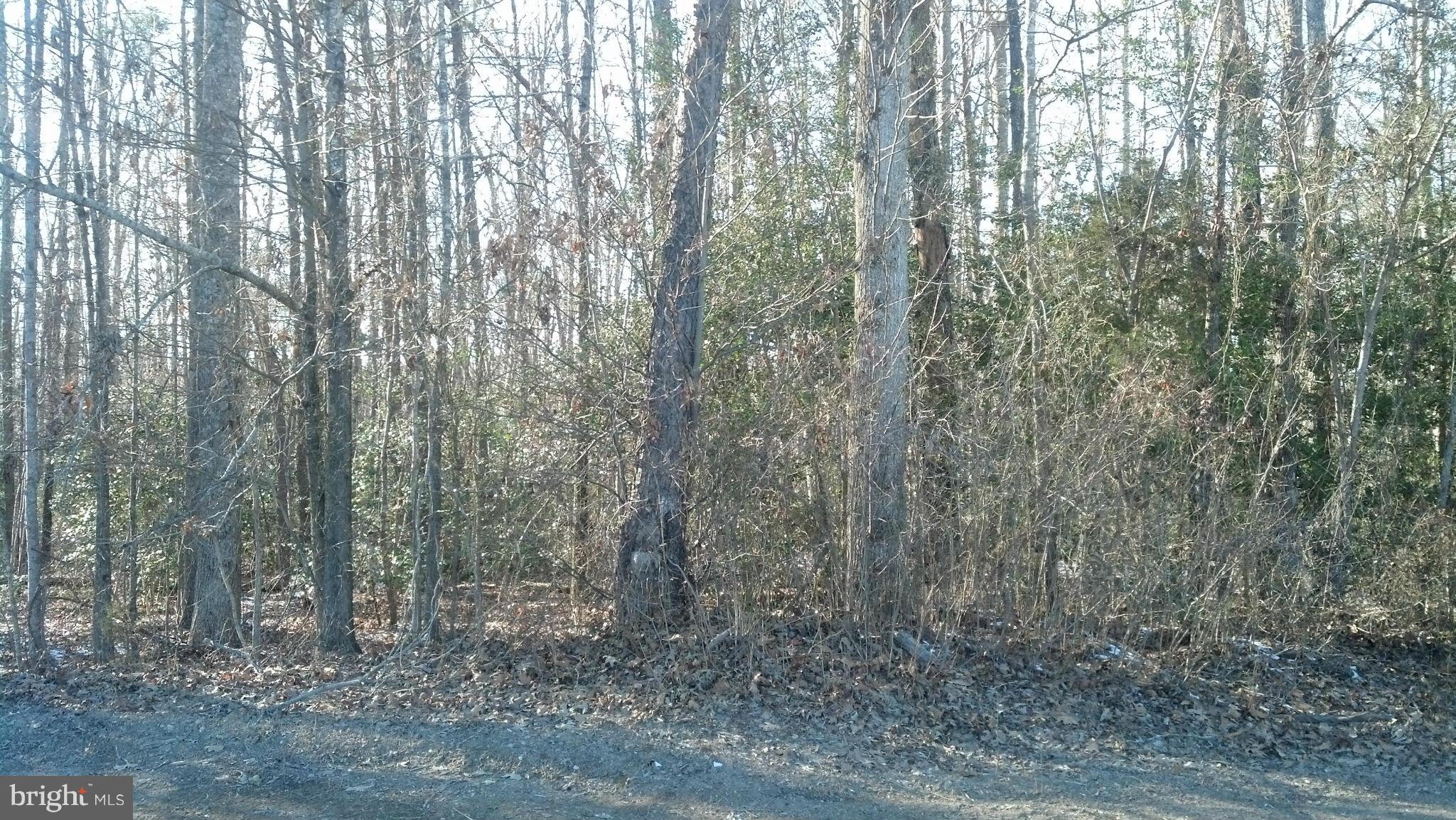 0 Sillamon Road Goldvein, VA 22720 - Photo 7 of 24 Exterior (General)