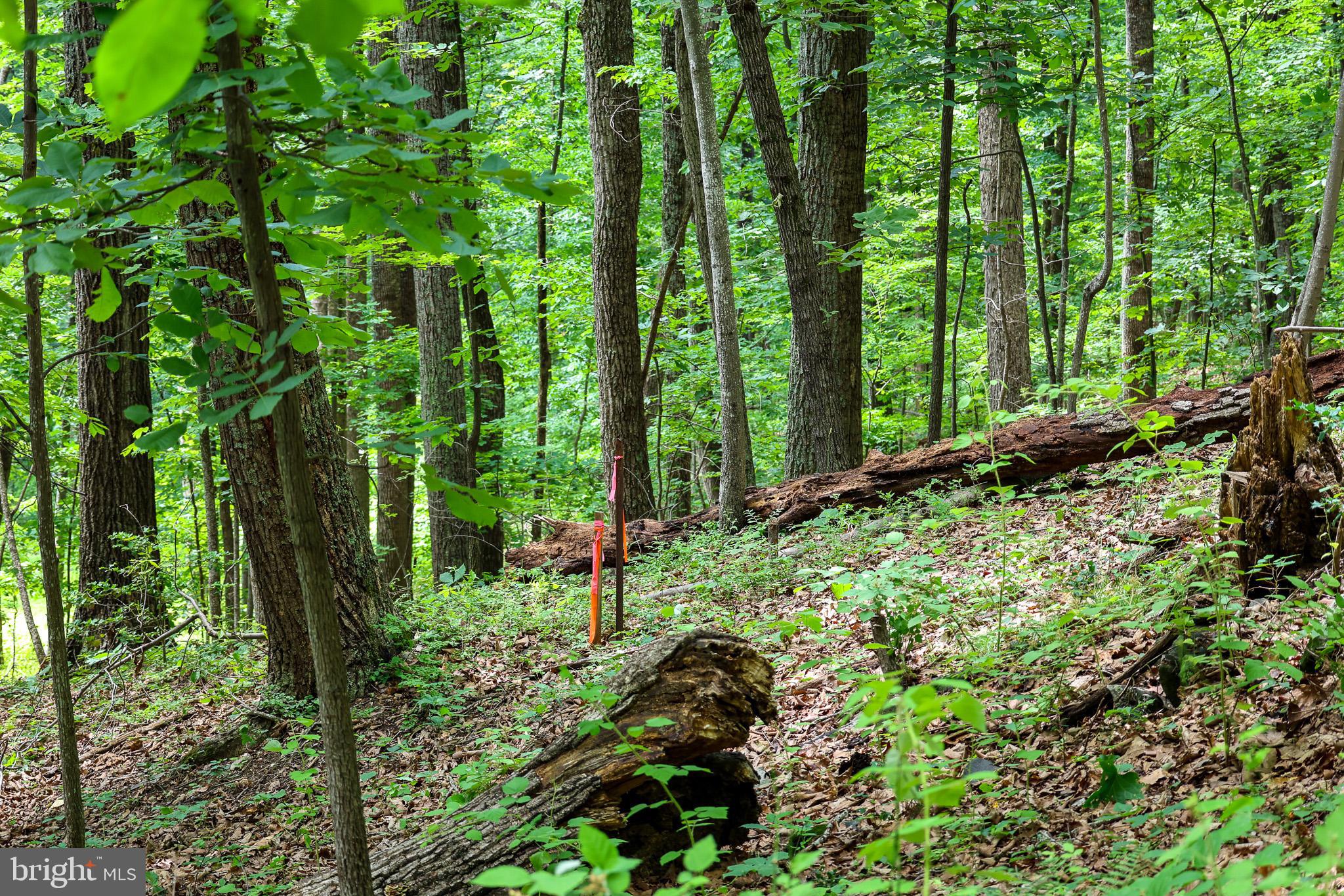 Tbd Comptons Road Castleton, VA 22716 - Photo 24 of 33