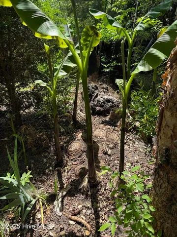 $85,999 | 207 North Broad Street, Everetts, NC 27825