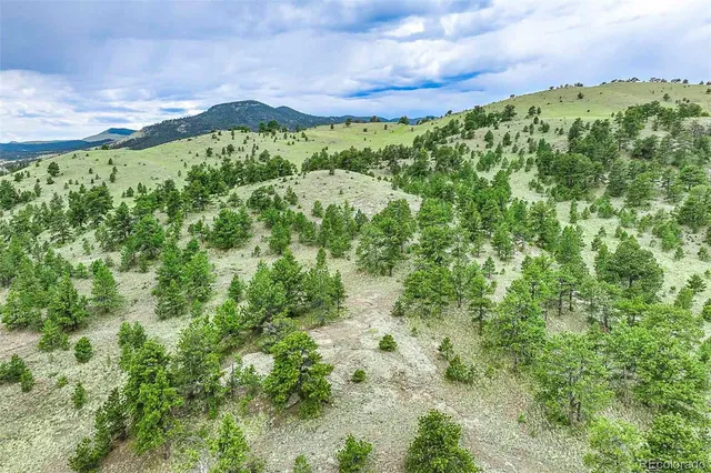 $810,000 | 10 County Road 102, Guffey, CO 80820