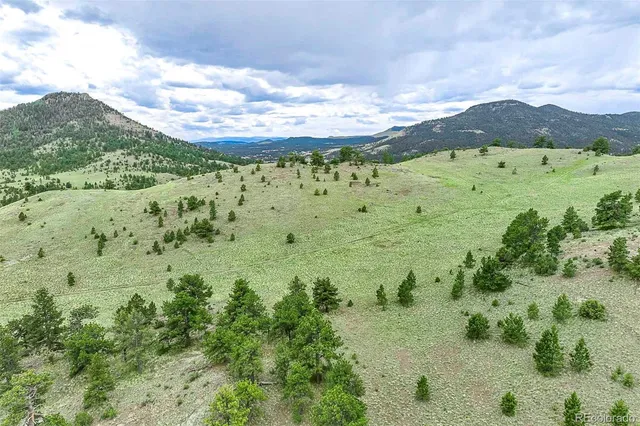 $810,000 | 10 County Road 102, Guffey, CO 80820