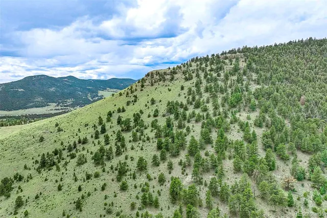 $810,000 | 10 County Road 102, Guffey, CO 80820
