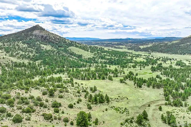 $810,000 | 10 County Road 102, Guffey, CO 80820