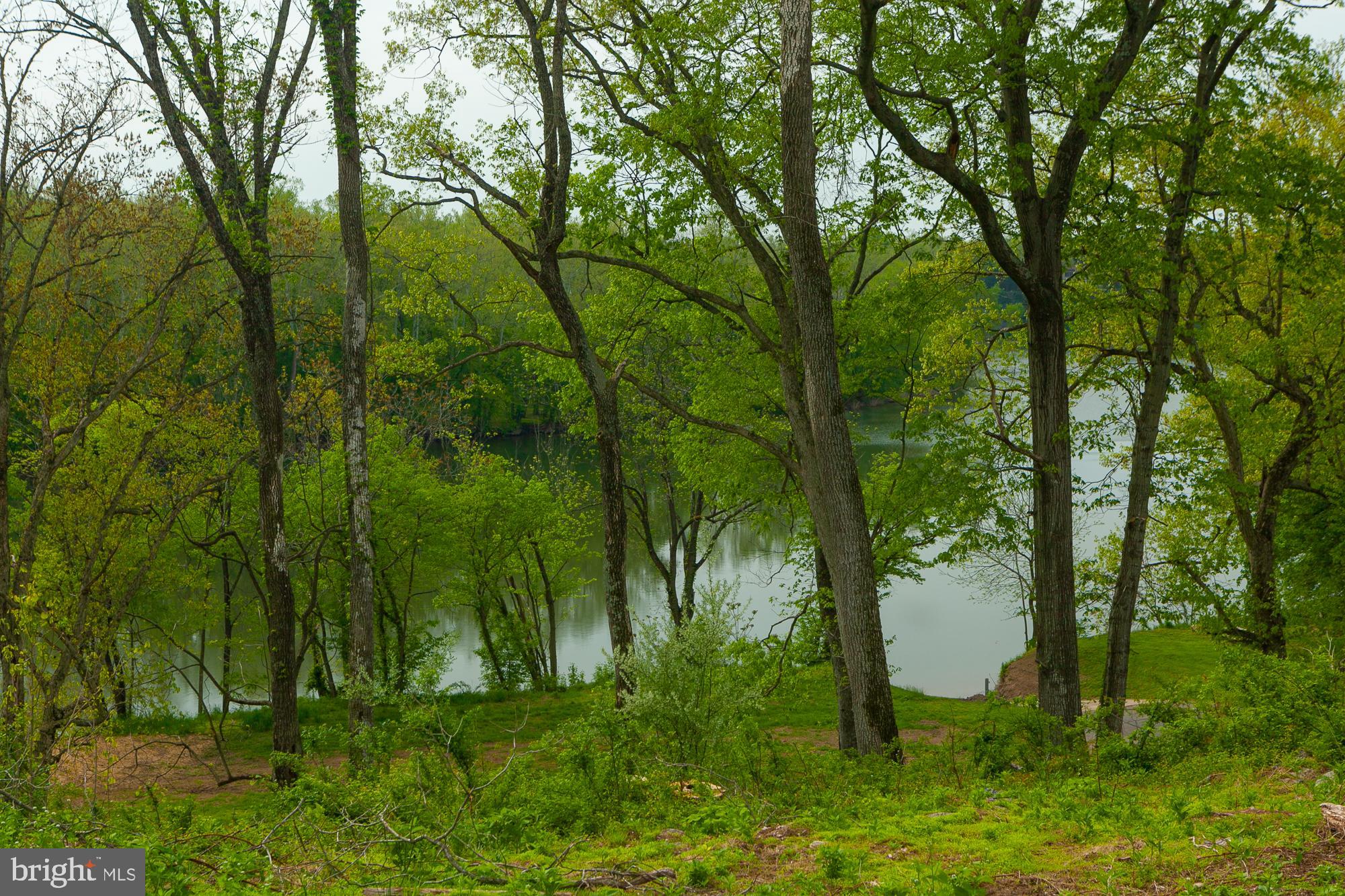 38 Whitings Neck Road, Unit POTOMAC OVERLOOK Martinsburg, WV 25404 - Photo 24 of 40 a view of a forest