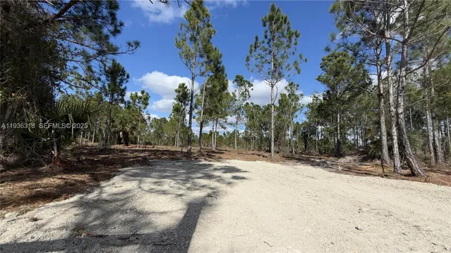 $49,999 | 17975 Northwest 298th Street, Okeechobee, FL 34972