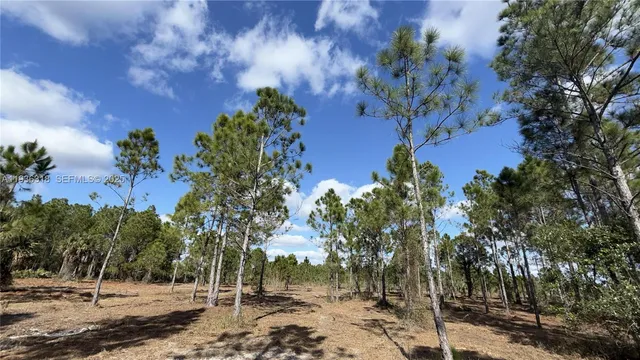 $49,999 | 17975 Northwest 298th Street, Okeechobee, FL 34972