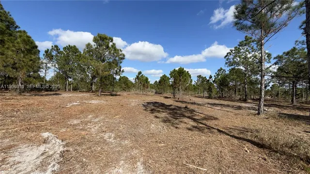 $49,999 | 17975 Northwest 298th Street, Okeechobee, FL 34972