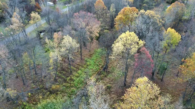 a view of a bunch of flowers and trees