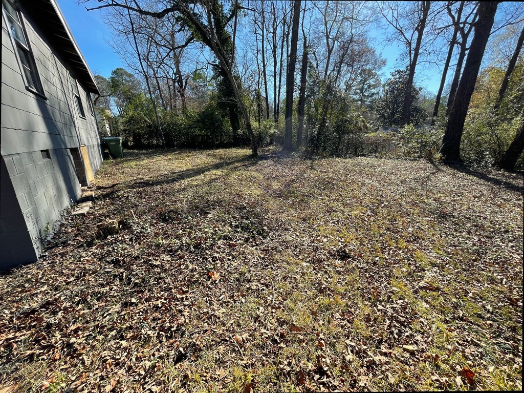 48 Patton Drive Columbus, GA 31903 - Photo 10 of 11 a view of a backyard with large trees