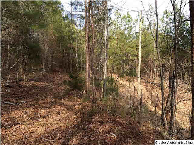 734 Valley Grove Road, Unit 15 4 ACR Remlap, AL 35133 - Photo 17 of 32