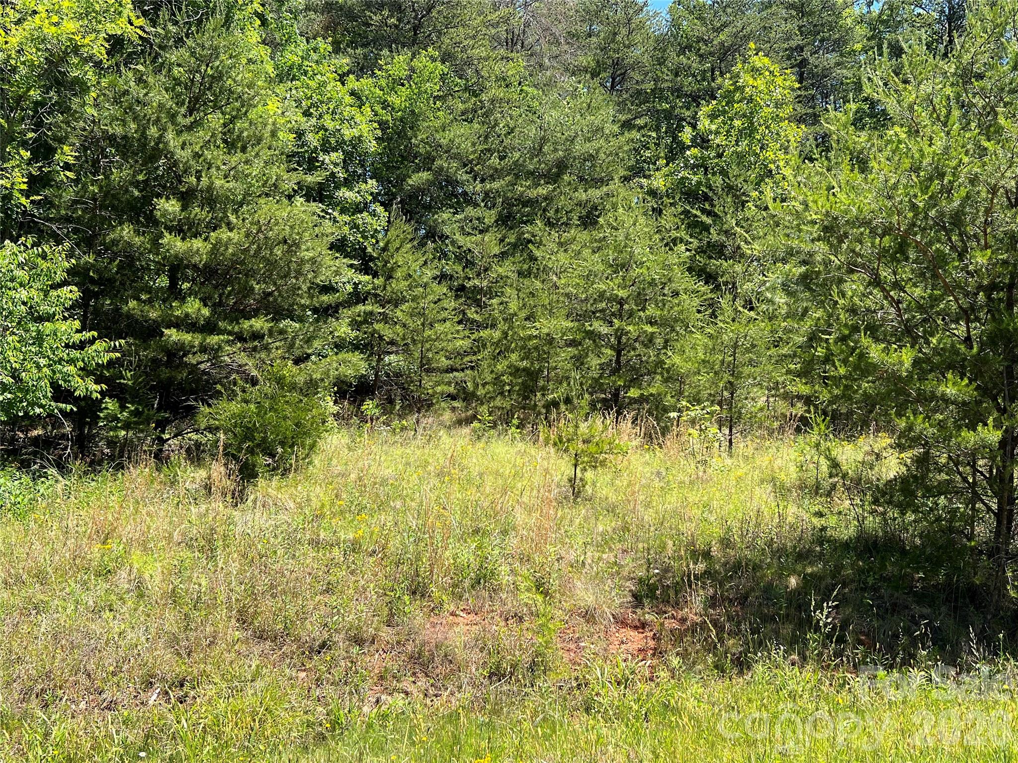 0 Luckadoo Mountain Road, Unit 177 Bostic, NC 28018 - Photo 8 of 11