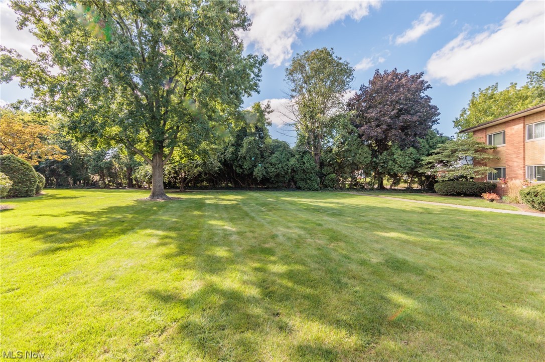 1750 Wagar Road, Unit 206 Rocky River, OH 44116 - Photo 29 of 33 View of yard