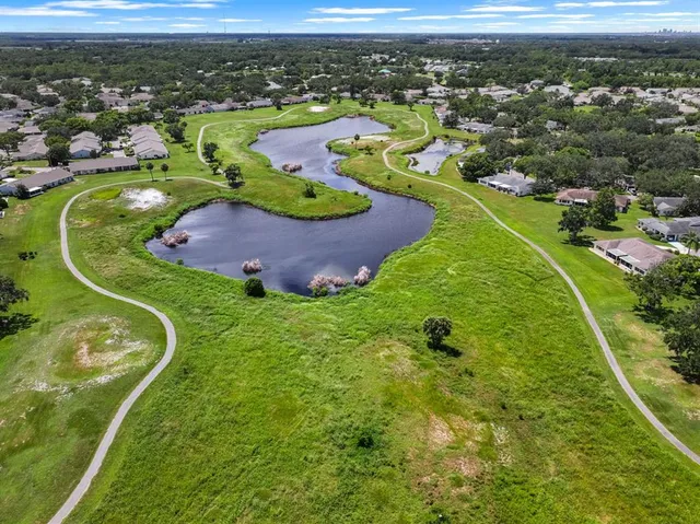an aerial view of a house with a garden
