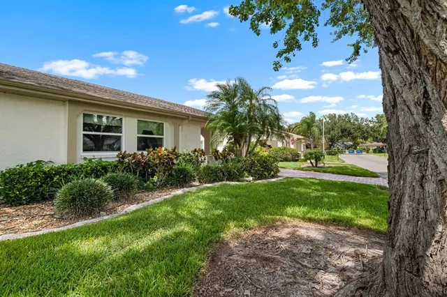 a view of a yard with plants and a large tree
