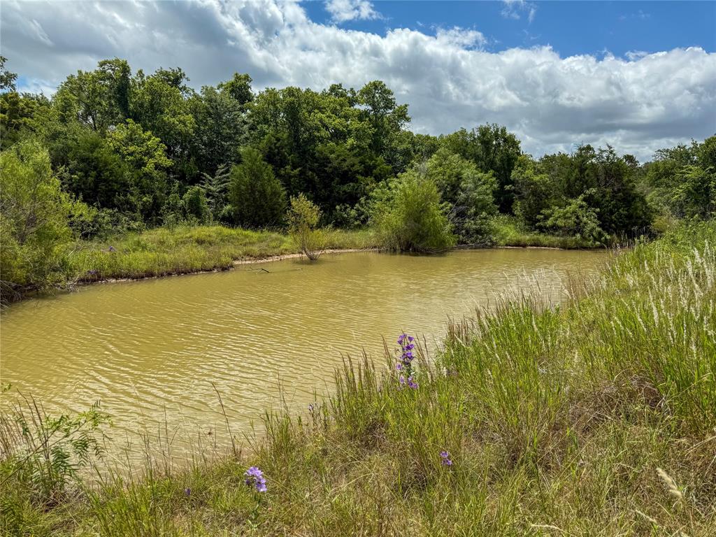 1700 Don Lee Road Joshua, TX 76058 - Photo 15 of 33 Pond #2