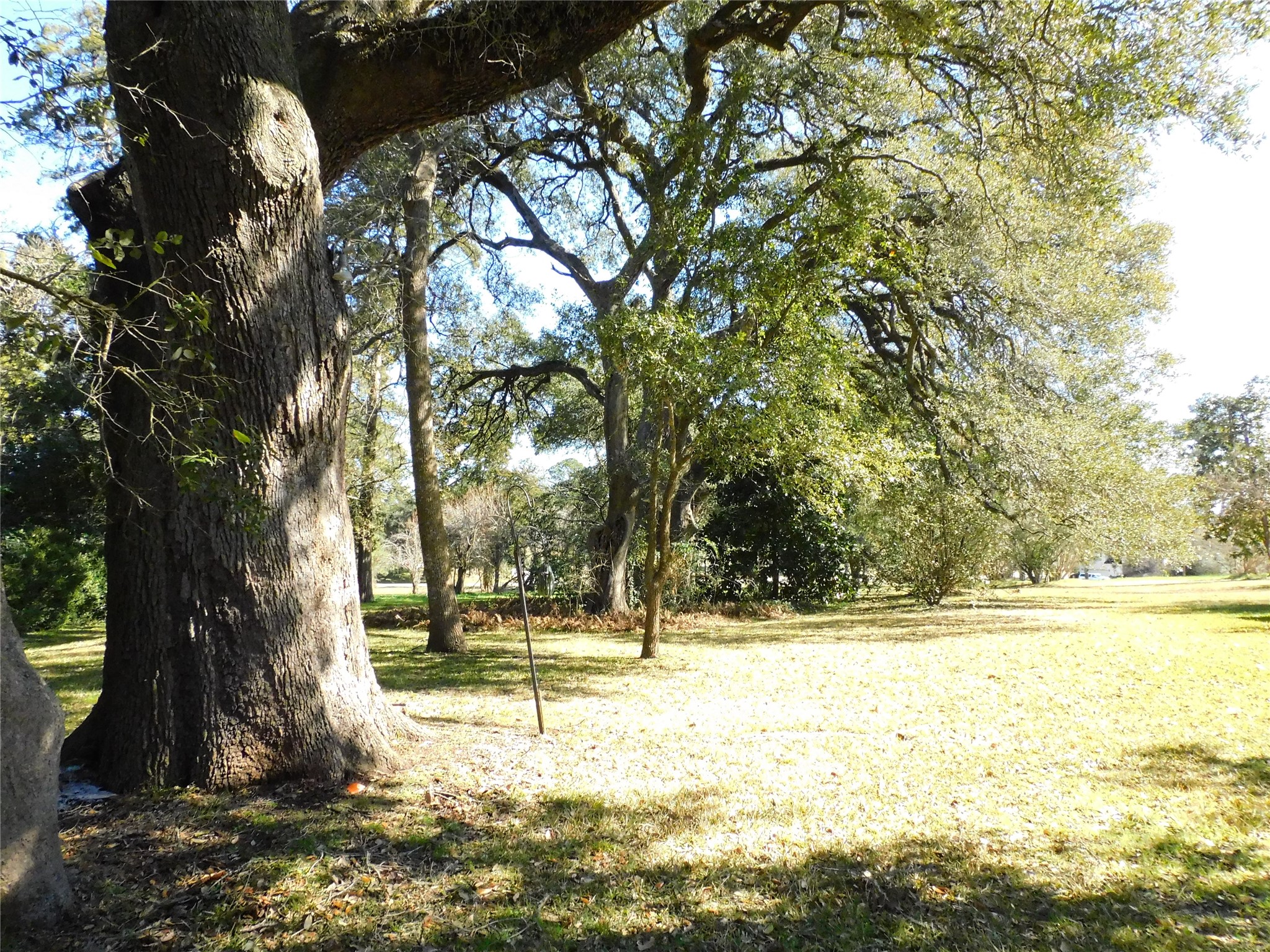 2408 Gun And Rod Road Brenham, TX 77833 - Photo 3 of 16 a view of a yard with swimming pool