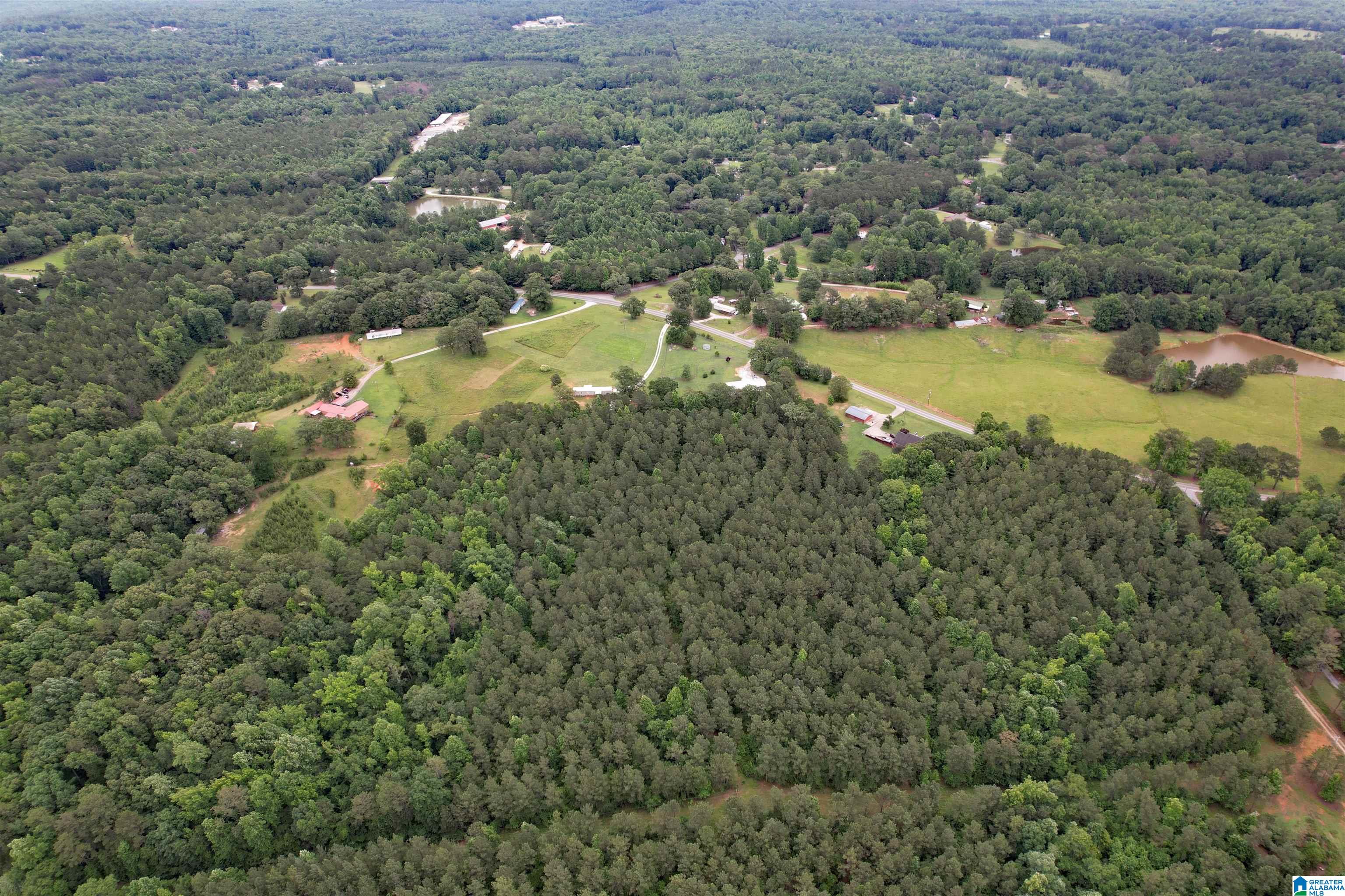 0 Houston Road Sylacauga, AL 35151 - Photo 23 of 32
