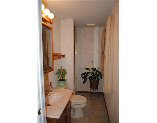 132 Old Gate Road Level Green, PA 15085 - Photo 12 of 18 Master Bath/Spa.