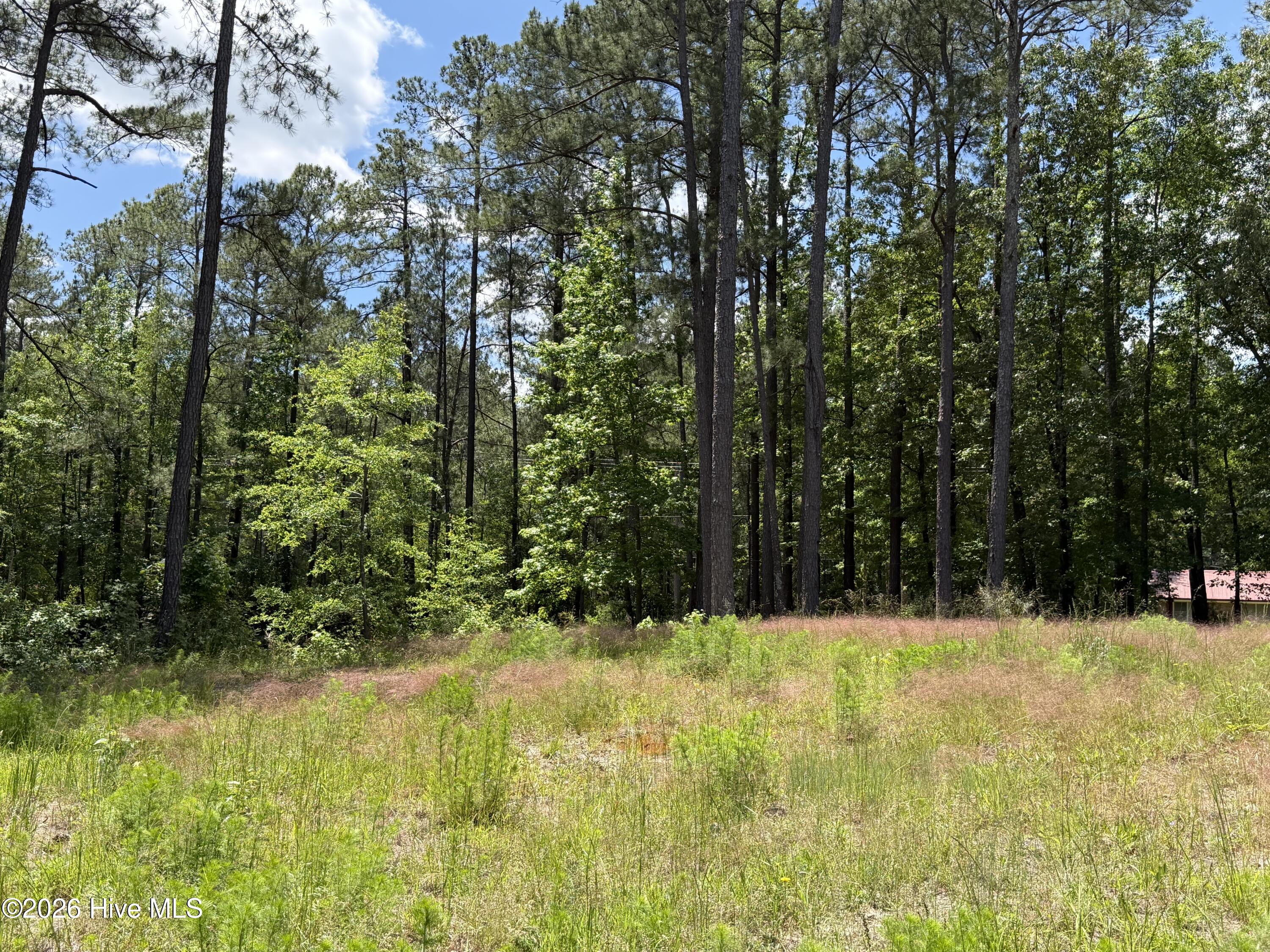 979 Aiken Road Vass, NC 28394 - Photo 16 of 26 979 Aiken Rd 16
