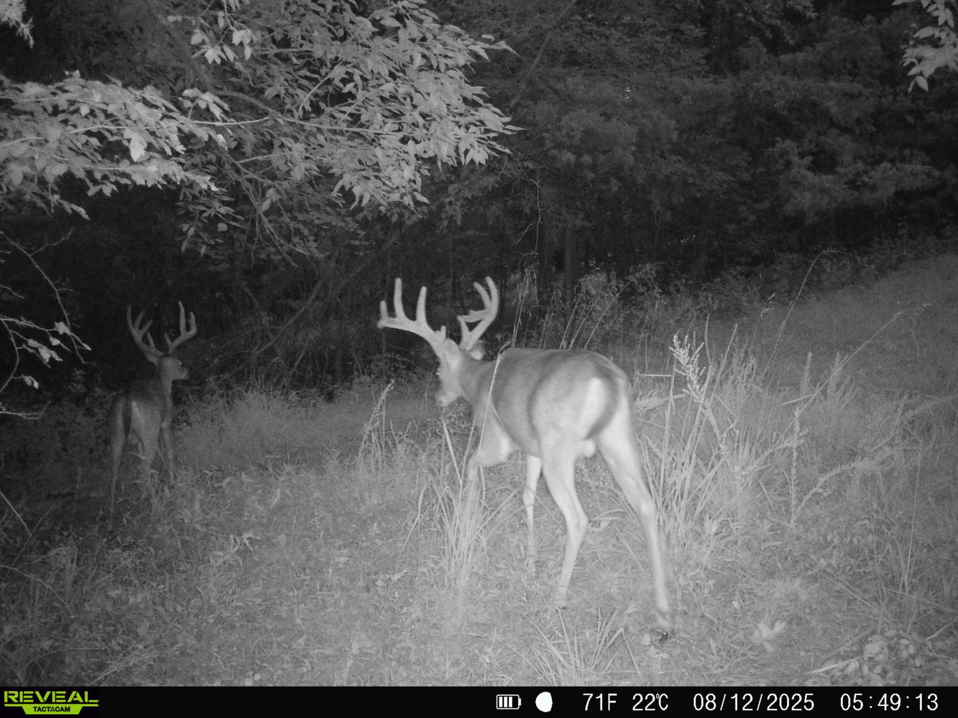0 Sorrells Road Petersburg, TN 37144 - Photo 26 of 44 Gallery Image 26