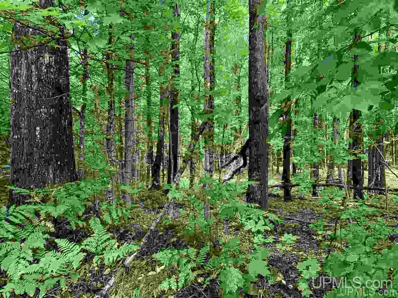 88-89 Blue Road Pelkie, MI 49958 - Photo 3 of 15