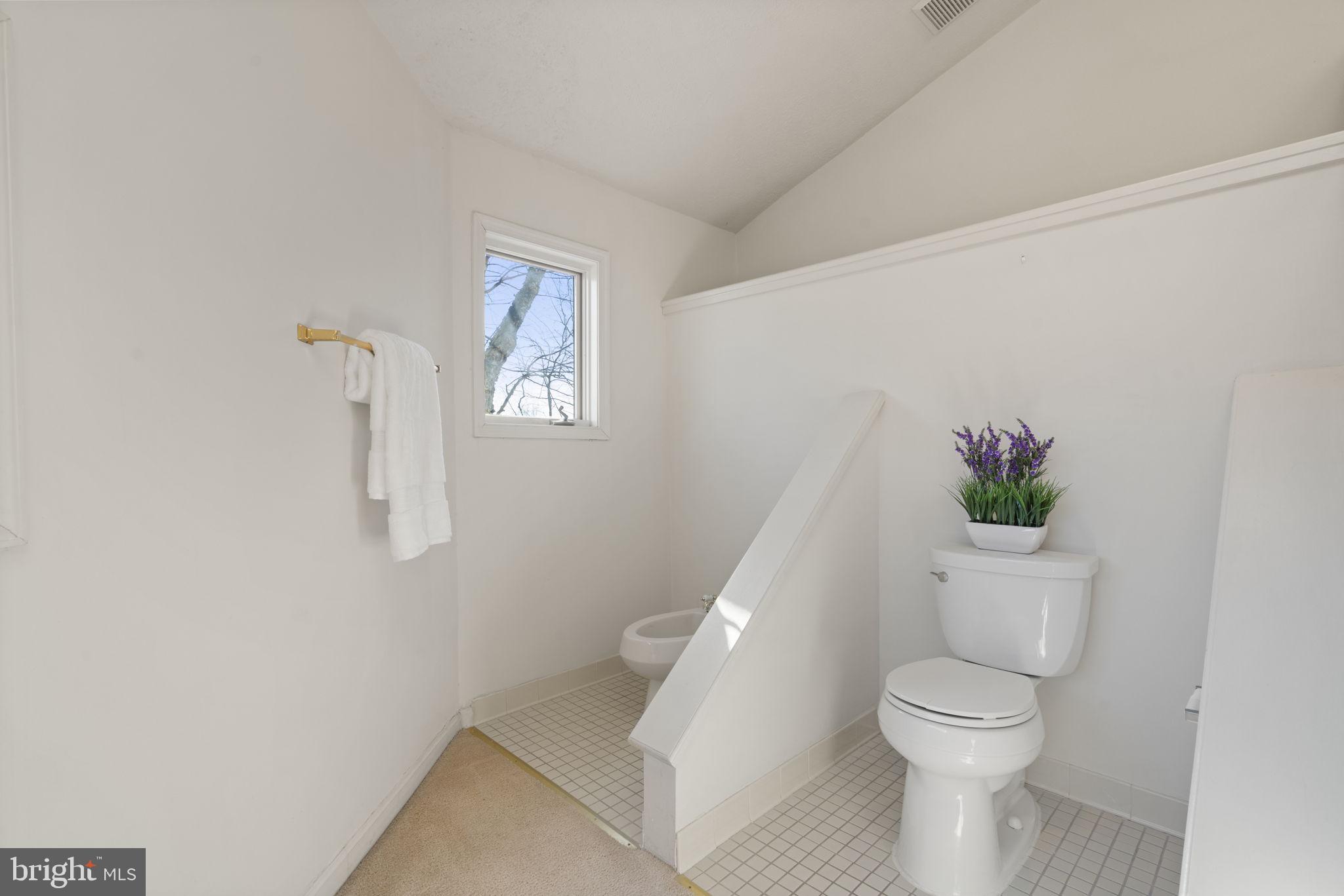 1537 Cedar Avenue McLean, VA 22101 - Photo 40 of 54 a white toilet sitting next to a white walls