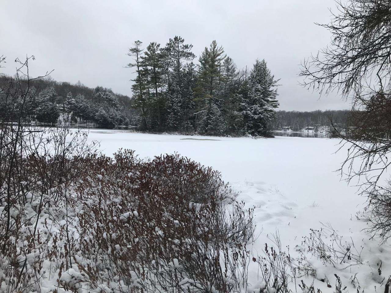 On East Pickerel Lake Road Gleason, WI 54435 - Photo 2 of 5 Gallery Image 2