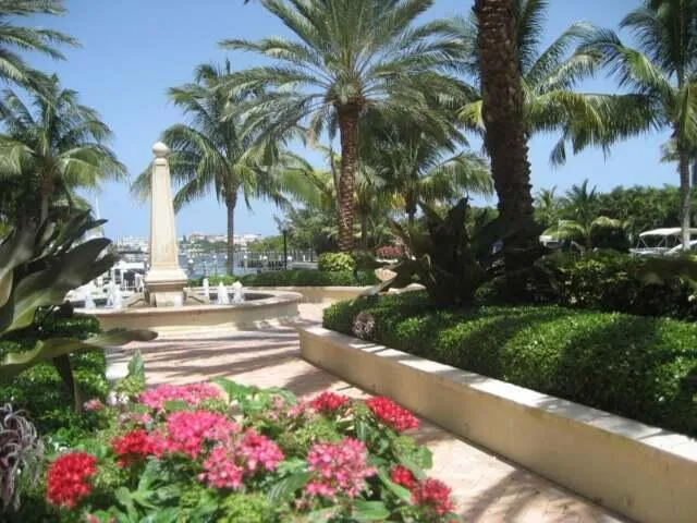 a view of a flower garden with a house