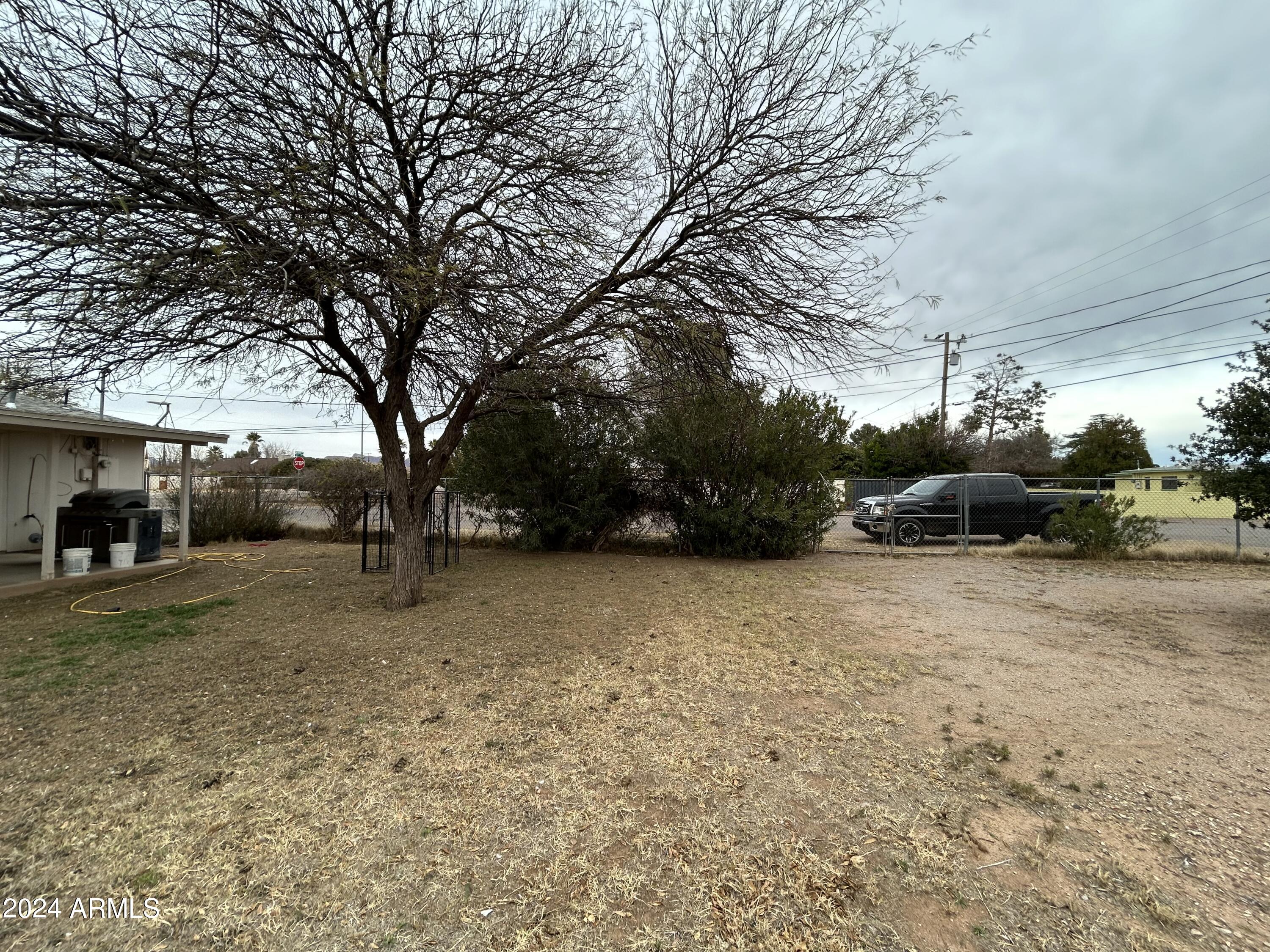 2419 East 10th Street Douglas, AZ 85607 - Photo 9 of 21 a view of a yard with a tree