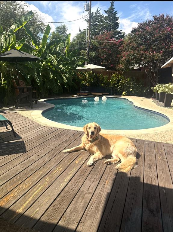 4245 Concho Street Dallas, TX 75206 - Photo 26 of 30 View of pool featuring a fenced backyard and a wooden deck