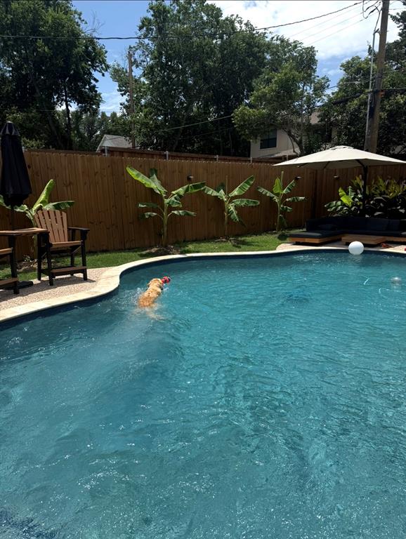 4245 Concho Street Dallas, TX 75206 - Photo 29 of 30 View of swimming pool featuring a fenced backyard
