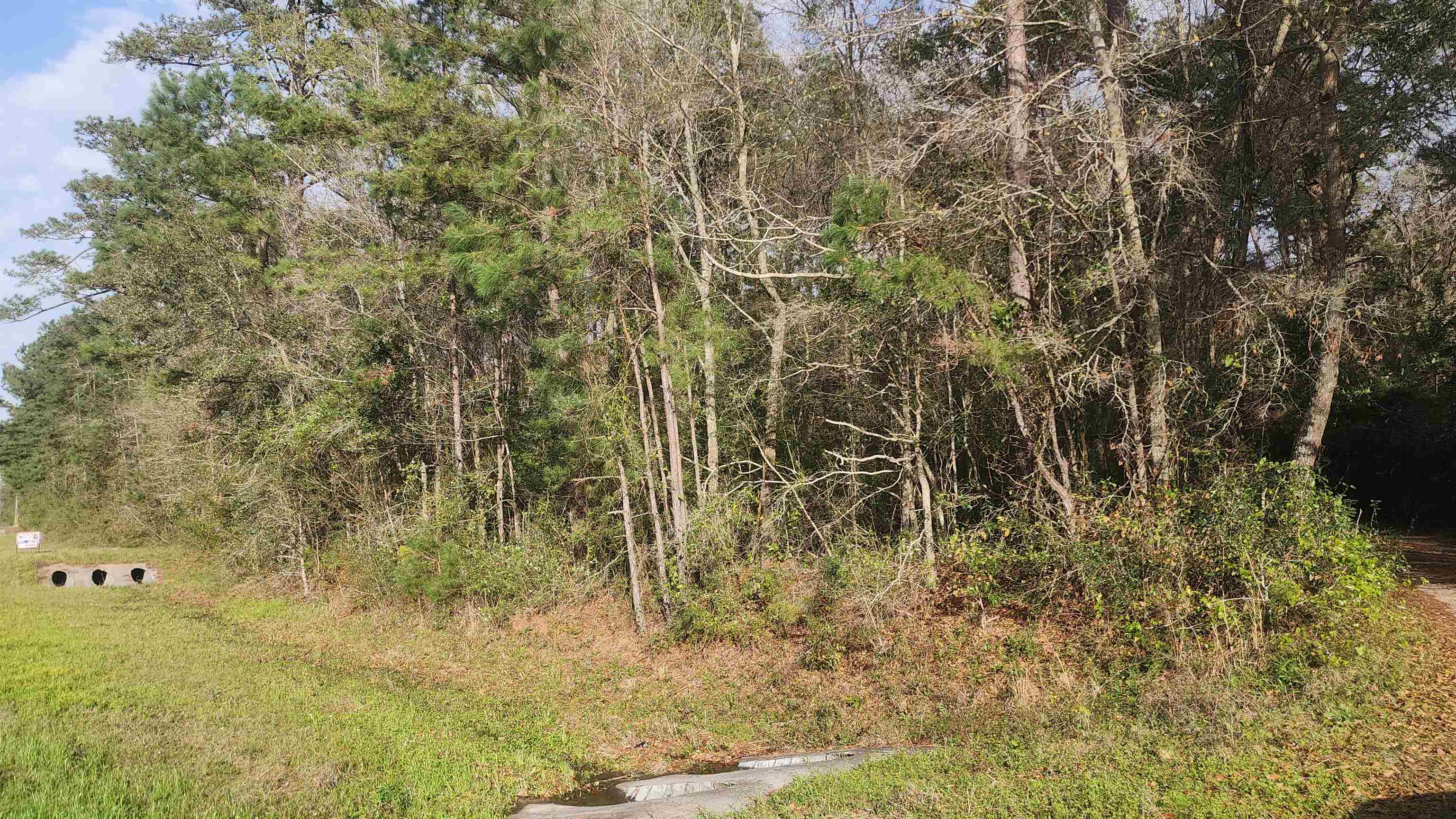 X Thomasville Road Tallahassee, FL 32312 - Photo 8 of 15