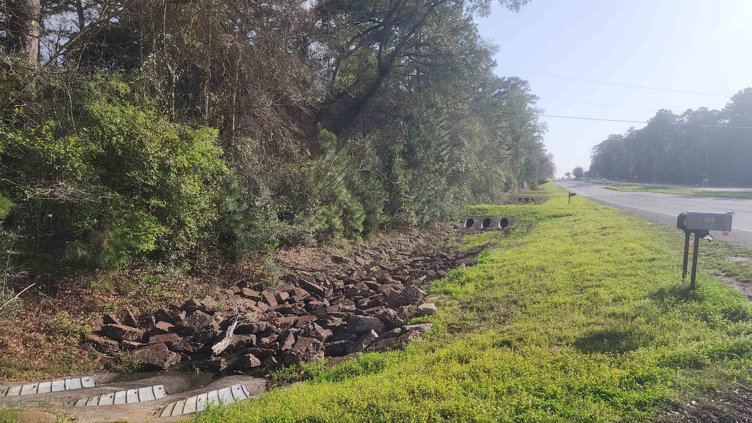 X Thomasville Road Tallahassee, FL 32312 - Photo 9 of 15