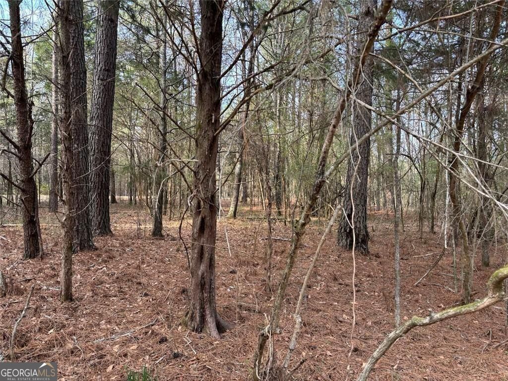 292 Shirley Road Southeast Ranger, GA 30734 - Photo 13 of 81