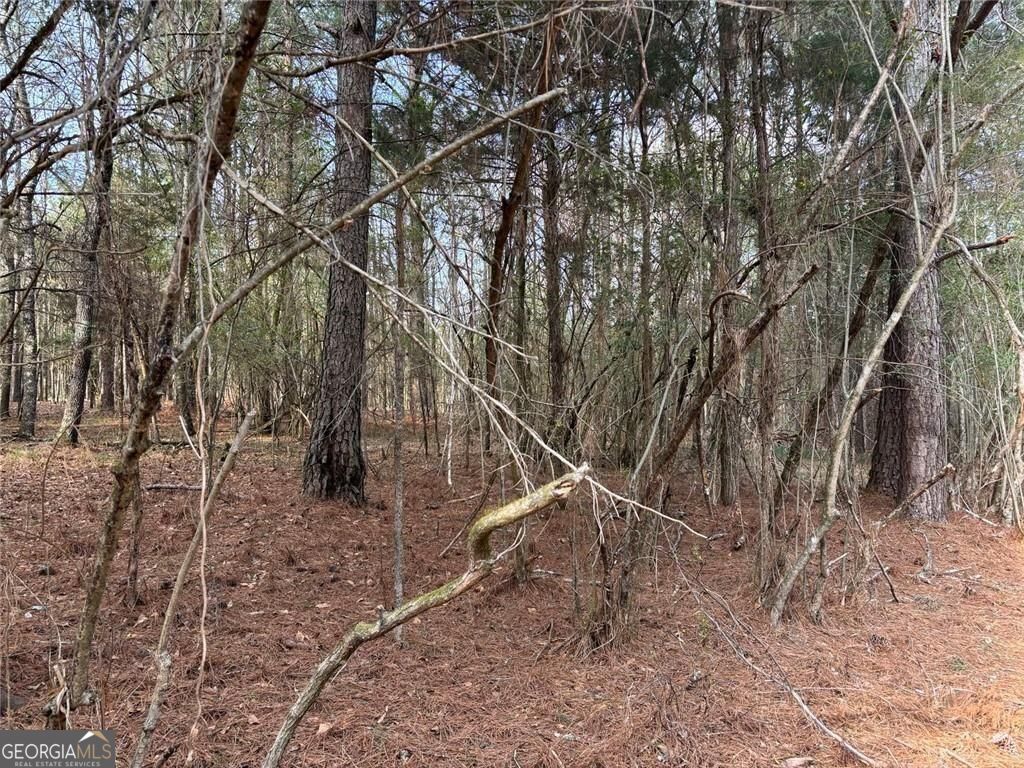 292 Shirley Road Southeast Ranger, GA 30734 - Photo 14 of 81