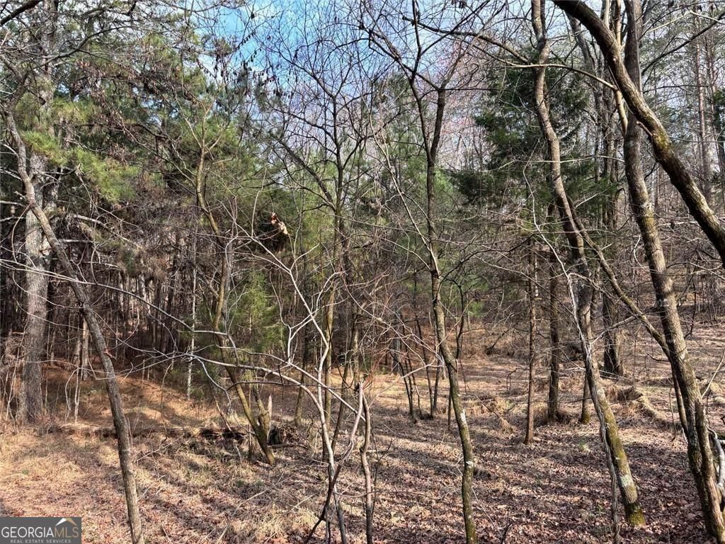 292 Shirley Road Southeast Ranger, GA 30734 - Photo 15 of 81