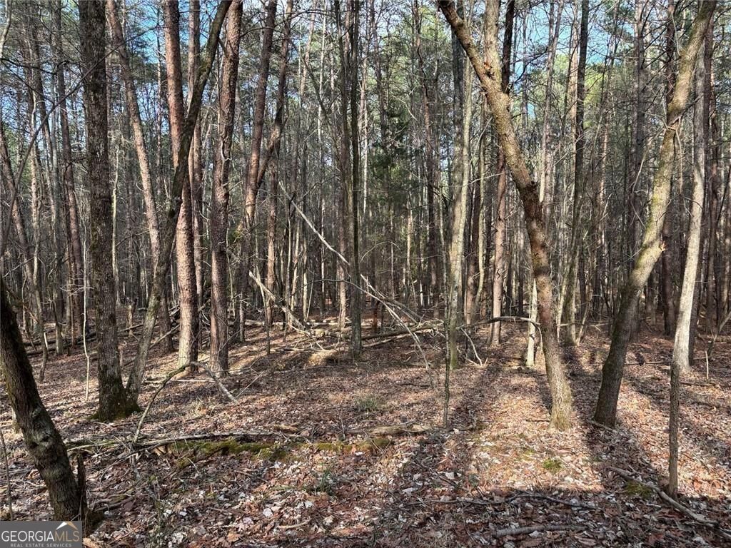 292 Shirley Road Southeast Ranger, GA 30734 - Photo 16 of 81