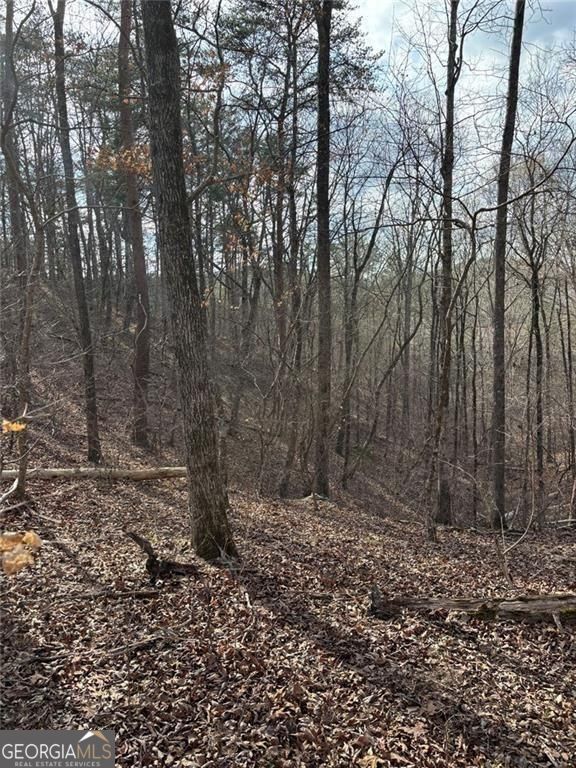 292 Shirley Road Southeast Ranger, GA 30734 - Photo 17 of 81