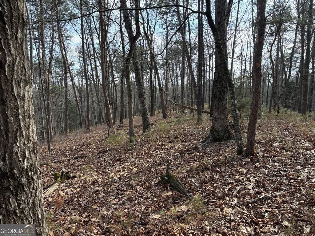 292 Shirley Road Southeast Ranger, GA 30734 - Photo 18 of 81