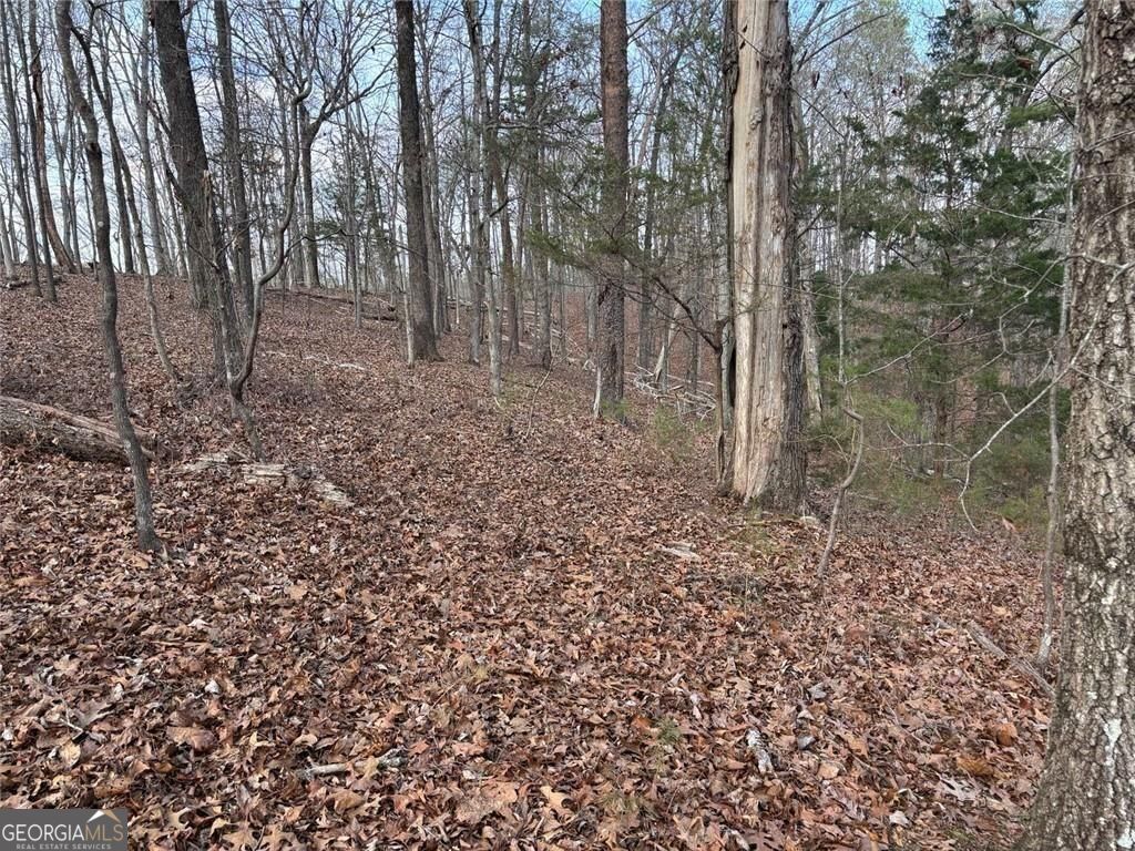 292 Shirley Road Southeast Ranger, GA 30734 - Photo 19 of 81