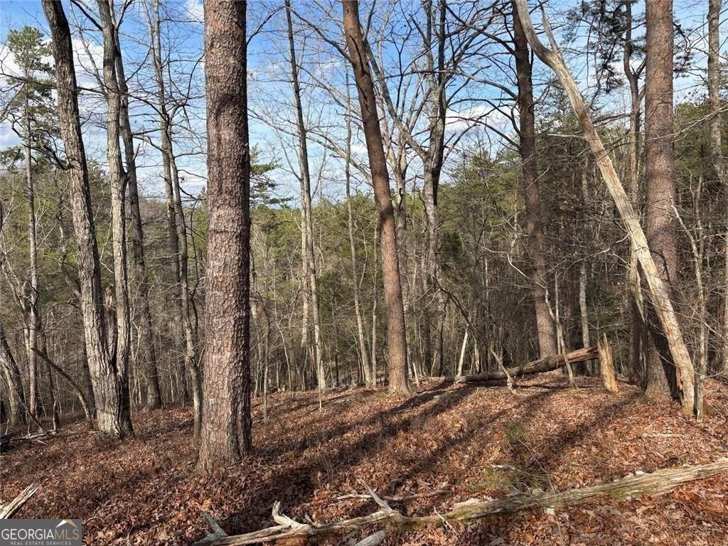 292 Shirley Road Southeast Ranger, GA 30734 - Photo 20 of 81