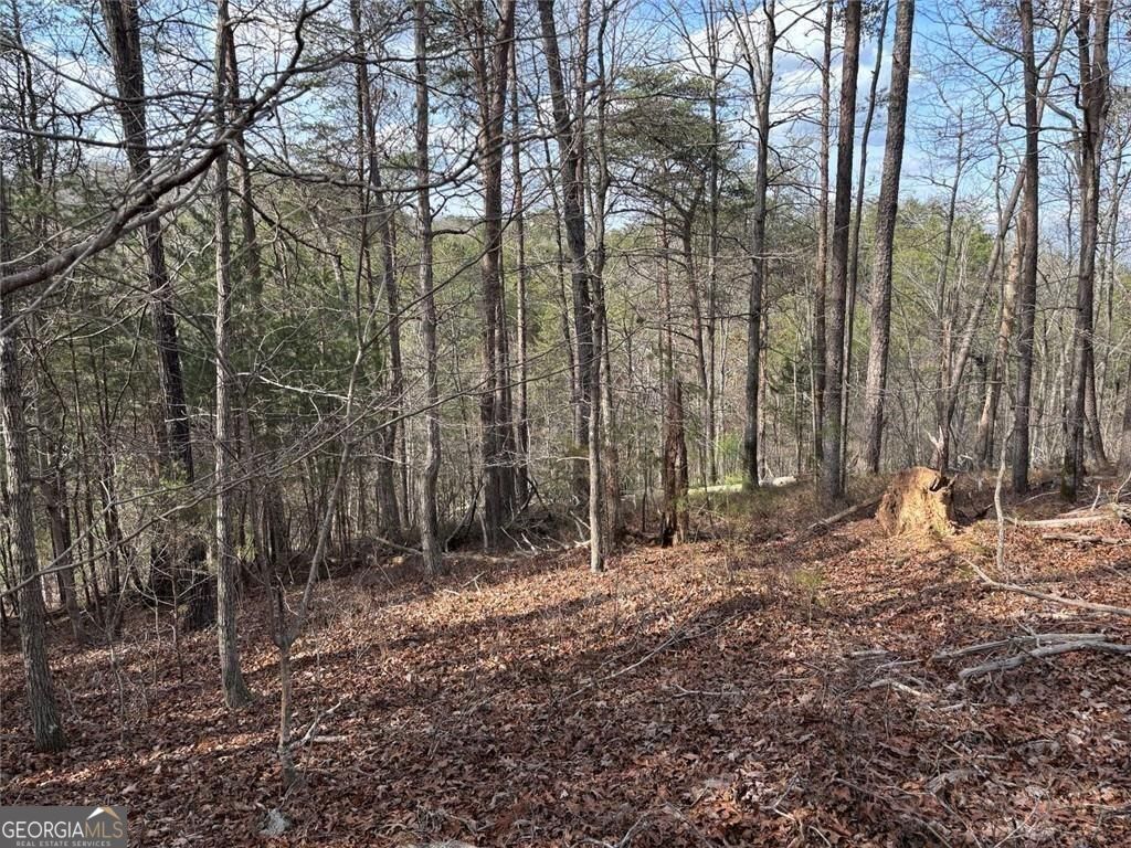 292 Shirley Road Southeast Ranger, GA 30734 - Photo 21 of 81