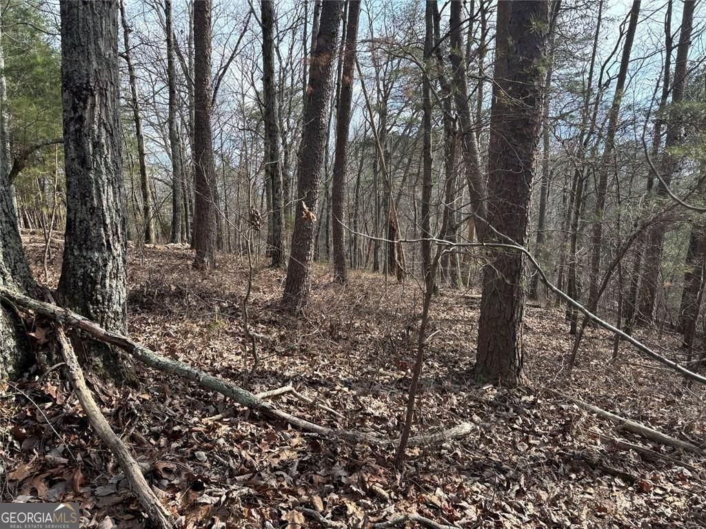 292 Shirley Road Southeast Ranger, GA 30734 - Photo 22 of 81