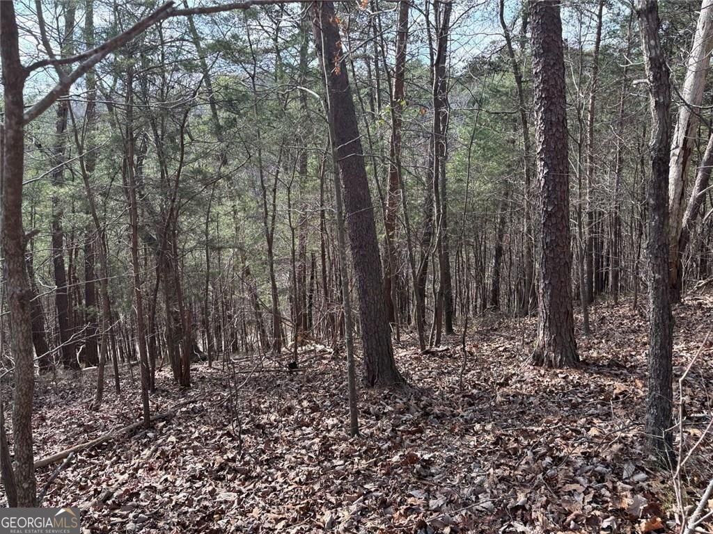 292 Shirley Road Southeast Ranger, GA 30734 - Photo 23 of 81