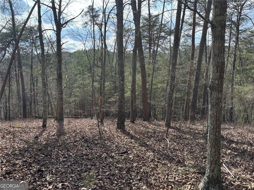 292 Shirley Road Southeast Ranger, GA 30734 - Photo 24 of 81