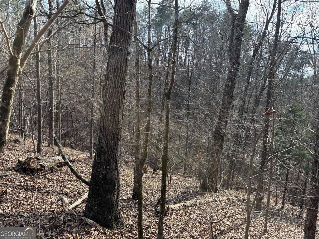 292 Shirley Road Southeast Ranger, GA 30734 - Photo 25 of 81