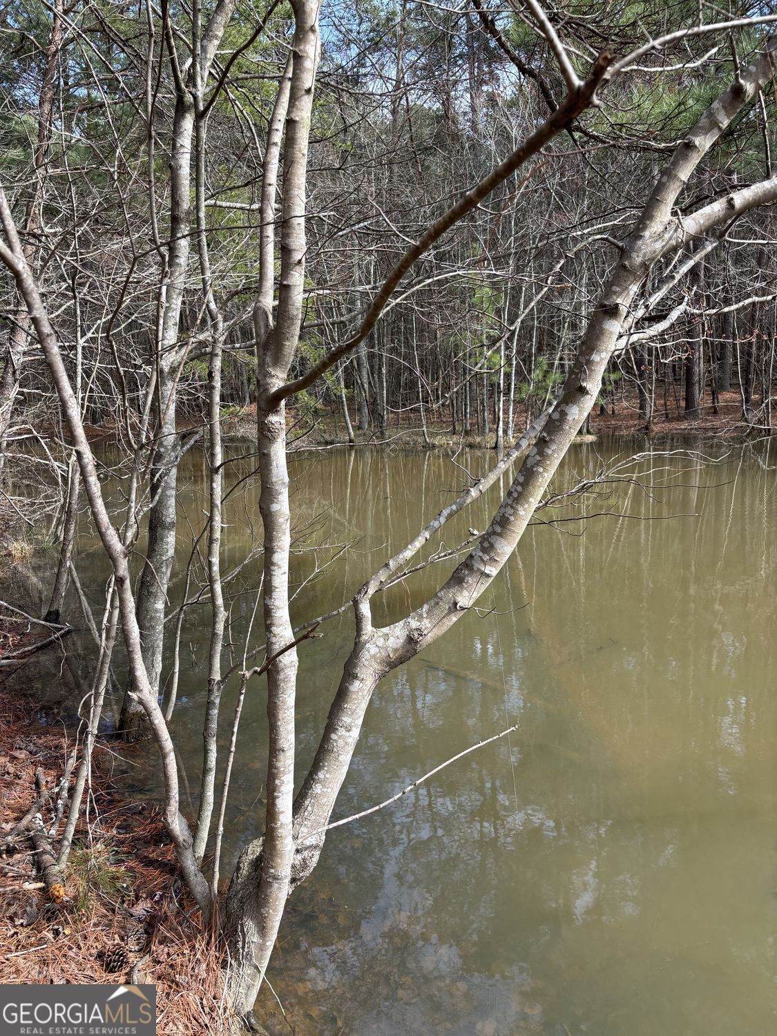 292 Shirley Road Southeast Ranger, GA 30734 - Photo 63 of 81